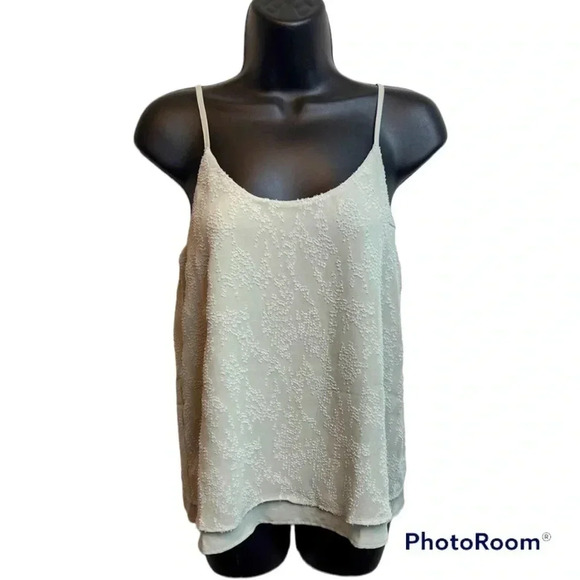 MI Ami from Francesca's beautiful seafoam green layered chiffon tank top. - Picture 1 of 9